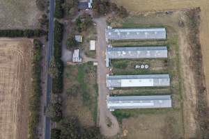 Drone Flyover – Dec 2025 - Captured at Turi Foods Farm 5 (breeder farm), Bannockburn VIC Australia.