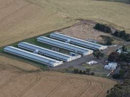 Drone Flyover – Dec 2025 - Captured at Turi Foods Farm 4 (breeder farm), Bannockburn VIC Australia.