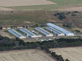 Drone Flyover – Dec 2025 - Captured at Turi Foods Farm 7 (rearing), Bannockburn VIC Australia.