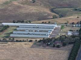 Drone Flyover – Dec 2025 - Captured at Turi Foods Farm 7 (rearing), Bannockburn VIC Australia.