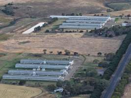 Drone Flyover – Dec 2025 - Captured at Turi Foods Farm 7 (rearing), Bannockburn VIC Australia.