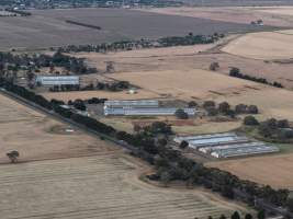 Drone Flyover – Dec 2025 - Captured at Turi Foods Farm 2 (breeder farm), Bannockburn VIC Australia.