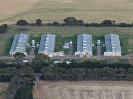 Drone Flyover – Dec 2025 - Captured at Turi Foods Farm 6 (breeder farm), Bannockburn VIC Australia.