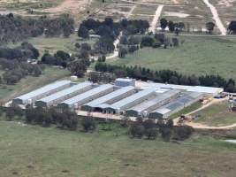 Drone flyover of egg farm - Captured at Parkwood Egg Farm, Holt ACT Australia.
