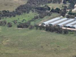 Drone flyover of egg farm - Captured at Parkwood Egg Farm, Holt ACT Australia.