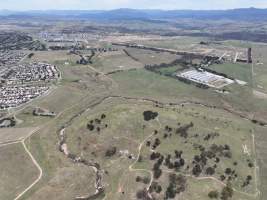 Drone flyover of egg farm - Captured at Parkwood Egg Farm, Holt ACT Australia.