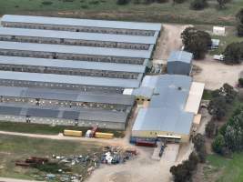 Drone flyover of egg farm - Captured at Parkwood Egg Farm, Holt ACT Australia.