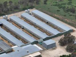 Drone flyover of egg farm - Captured at Parkwood Egg Farm, Holt ACT Australia.
