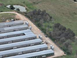Drone flyover of egg farm - Captured at Parkwood Egg Farm, Holt ACT Australia.