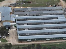 Drone flyover of egg farm - Captured at Parkwood Egg Farm, Holt ACT Australia.