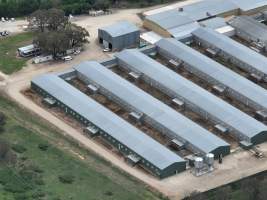 Drone flyover of egg farm - Captured at Parkwood Egg Farm, Holt ACT Australia.
