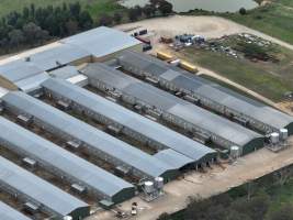 Drone flyover of egg farm - Captured at Parkwood Egg Farm, Holt ACT Australia.
