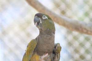 Bosque y Zoológico de la Ciudad 2023 - Photos taken at Bosque y Zoológico de la Ciudad of Mexicali, Mexico on June 25th, 2023. - Captured at Bosque y Zoológico de la Ciudad, San Marcos B.C. Mexico.