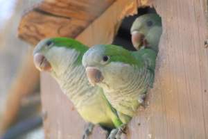 Bosque y Zoológico de la Ciudad 2023 - Photos taken at Bosque y Zoológico de la Ciudad of Mexicali, Mexico on June 25th, 2023. - Captured at Bosque y Zoológico de la Ciudad, San Marcos B.C. Mexico.