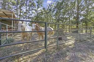 Real Estate Photos - Captured at Unknown grower piggery, Girgarre VIC Australia.