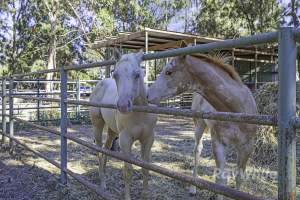 Real Estate Photos - Captured at Unknown grower piggery, Girgarre VIC Australia.