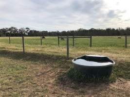 Real Estate Photos - Captured at Unknown grower piggery, Girgarre VIC Australia.