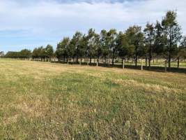 Real Estate Photos - Captured at Unknown grower piggery, Girgarre VIC Australia.