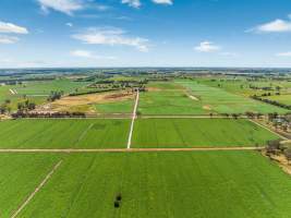 Real Estate photos - Captured at Timmering Dairy, Girgarre VIC Australia.