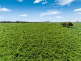 Real Estate photos - Captured at Timmering Dairy, Girgarre VIC Australia.