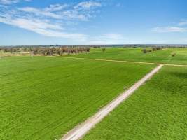 Real Estate photos - Captured at Timmering Dairy, Girgarre VIC Australia.