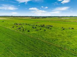 Real Estate Photos - Captured at Quality Ridge Dairy, Girgarre VIC Australia.