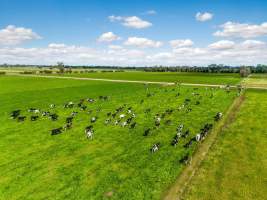 Real Estate Photos - Captured at Quality Ridge Dairy, Girgarre VIC Australia.