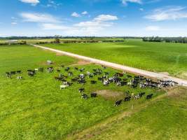 Real Estate Photos - Captured at Quality Ridge Dairy, Girgarre VIC Australia.