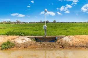 Real Estate Photos - Captured at Quality Ridge Dairy, Girgarre VIC Australia.