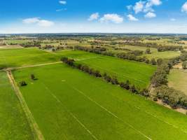 Real Estate Photos - Captured at Quality Ridge Dairy, Girgarre VIC Australia.