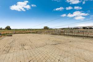 Real Estate Photos - Captured at Quality Ridge Dairy, Girgarre VIC Australia.