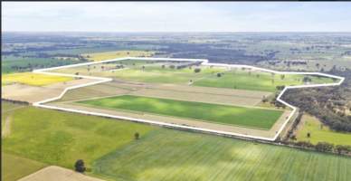 Real Estate Listing Photos - Captured at Dairy Beef Finishing Farm, Mundoona VIC Australia.