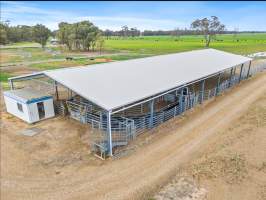 Real Estate Listing Photos - Captured at Dairy Beef Finishing Farm, Mundoona VIC Australia.