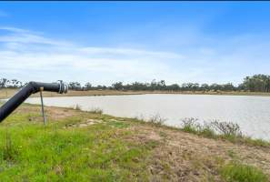 Real Estate Listing Photos - Captured at Dairy Beef Finishing Farm, Mundoona VIC Australia.