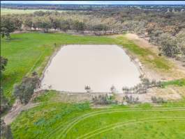 Real Estate Listing Photos - Captured at Dairy Beef Finishing Farm, Mundoona VIC Australia.