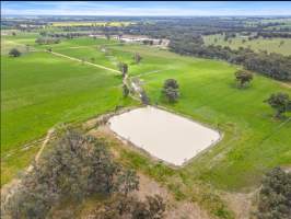 Real Estate Listing Photos - Captured at Dairy Beef Finishing Farm, Mundoona VIC Australia.