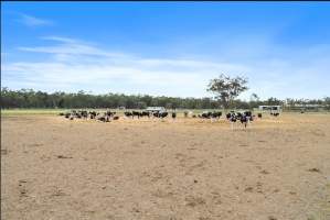 Real Estate Listing Photos - Captured at Dairy Beef Finishing Farm, Mundoona VIC Australia.
