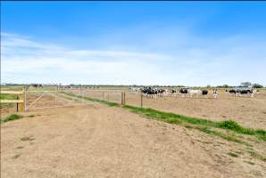 Real Estate Listing Photos - Captured at Dairy Beef Finishing Farm, Mundoona VIC Australia.