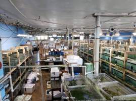 Inside of Fish Fish Fish Inc. - Photo taken inside of Fish Fish Fish Inc. Via Google Maps - Captured at Fish Fish Fish Inc, Palisades Park NJ United States.