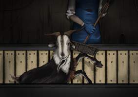 Artist rendition of goat slaughter at the Game Meats Company slaughterhouse - These artworks were created based on descriptions from those who have seen the footage, which cannot itself be published due to an injunction imposed by the Federal Court of Australia, as well as reference images from other slaughterhouses that FTP has investigated. At no point were stills or footage from the Game Meats Company viewed by the artists.
Artwork by: @jess_hartartist - Captured at Game Meats Company Slaughterhouse, Eurobin VIC Australia.
