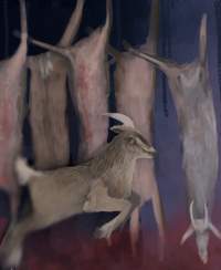 Artist rendition of goat slaughter at the Game Meats Company slaughterhouse - These artworks were created based on descriptions from those who have seen the footage, which cannot itself be published due to an injunction imposed by the Federal Court of Australia, as well as reference images from other slaughterhouses that FTP has investigated. At no point were stills or footage from the Game Meats Company viewed by the artists.
Artwork by: @pigeonwren.art - Captured at Game Meats Company Slaughterhouse, Eurobin VIC Australia.