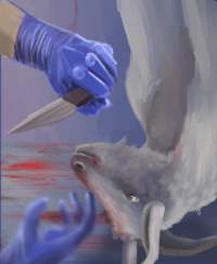 Artist rendition of goat slaughter at the Game Meats Company slaughterhouse - These artworks were created based on descriptions from those who have seen the footage, which cannot itself be published due to an injunction imposed by the Federal Court of Australia, as well as reference images from other slaughterhouses that FTP has investigated. At no point were stills or footage from the Game Meats Company viewed by the artists.
Artwork by: @pigeonwren.art - Captured at Game Meats Company Slaughterhouse, Eurobin VIC Australia.