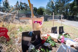 Game Meats Company Vigil 2026 - Images taken at vigil outside Game Meats Company slaughterhouse in February 2026.
 - Captured at Game Meats Company Slaughterhouse, Eurobin VIC Australia.