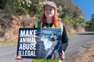 Game Meats Company Vigil 2026 - Images taken at vigil outside Game Meats Company slaughterhouse in February 2026.
 - Captured at Game Meats Company Slaughterhouse, Eurobin VIC Australia.