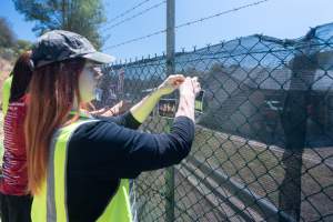 Game Meats Company Vigil 2026 - Images taken at vigil outside Game Meats Company slaughterhouse in February 2026.
 - Captured at Game Meats Company Slaughterhouse, Eurobin VIC Australia.