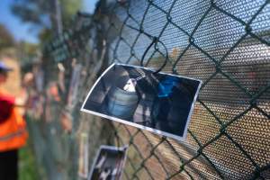 Game Meats Company Vigil 2026 - Images taken at vigil outside Game Meats Company slaughterhouse in February 2026.
 - Captured at Game Meats Company Slaughterhouse, Eurobin VIC Australia.
