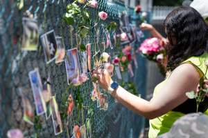 Game Meats Company Vigil 2026 - Images taken at vigil outside Game Meats Company slaughterhouse in February 2026.
 - Captured at Game Meats Company Slaughterhouse, Eurobin VIC Australia.