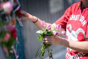 Game Meats Company Vigil 2026 - Images taken at vigil outside Game Meats Company slaughterhouse in February 2026.
 - Captured at Game Meats Company Slaughterhouse, Eurobin VIC Australia.