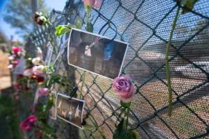 Game Meats Company Vigil 2026 - Images taken at vigil outside Game Meats Company slaughterhouse in February 2026.
 - Captured at Game Meats Company Slaughterhouse, Eurobin VIC Australia.