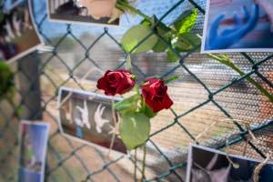 Game Meats Company Vigil 2026 - Images taken at vigil outside Game Meats Company slaughterhouse in February 2026.
- Captured at Game Meats Company Slaughterhouse, Eurobin VIC Australia.